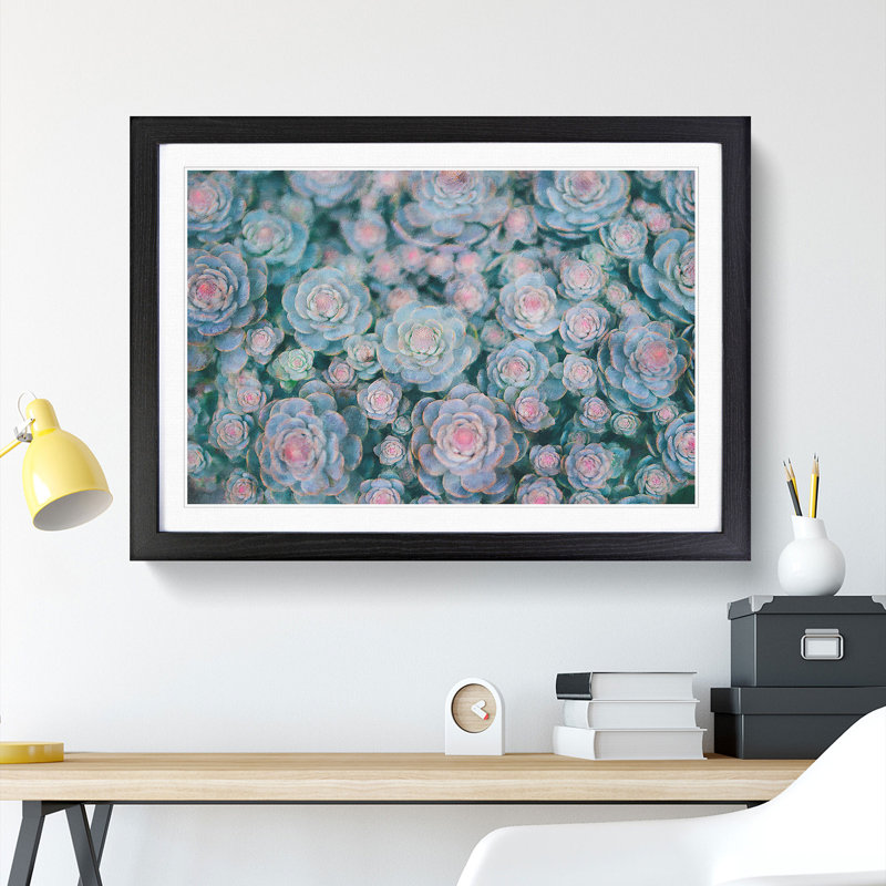 Succulent Plants Abstract - Single Picture Frame Painting on MDF, Black, 45cm H x 63cm W x 2cm D