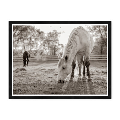 Grazing III Print by Tim Klein