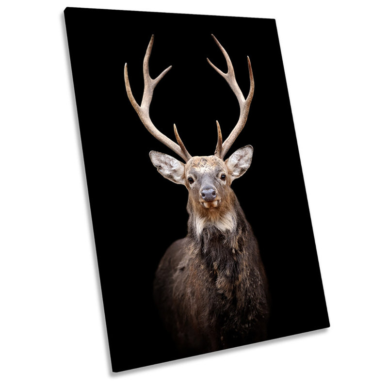 Stag Deer Head - Wrapped Canvas Print, 91.4cm H x 61cm W