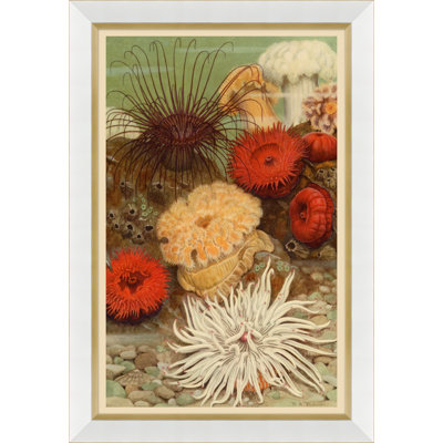 Coral Reef Giclee Print