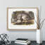 Canadian Lynx by J.W. Audubon - Picture Frame Painting Print-55513736-55513741