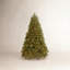 Sapin Jersey Fraser de taille moyenne avec lumières à DEL bicolores-2129803268