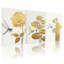 Plantes et fleurs, rose, libellule, lotus, cactus, ensemble de 3 impressions sur toile-962000233