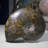 Aloisa Landscape & Nature Crystal