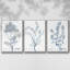 Ensemble de 3 pièces botaniques antiques encadrées sur toile IV-97759903-97759905
