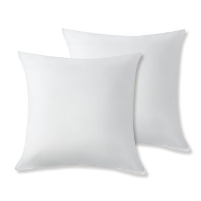 Set Of 2 Plush Pillow Inserts