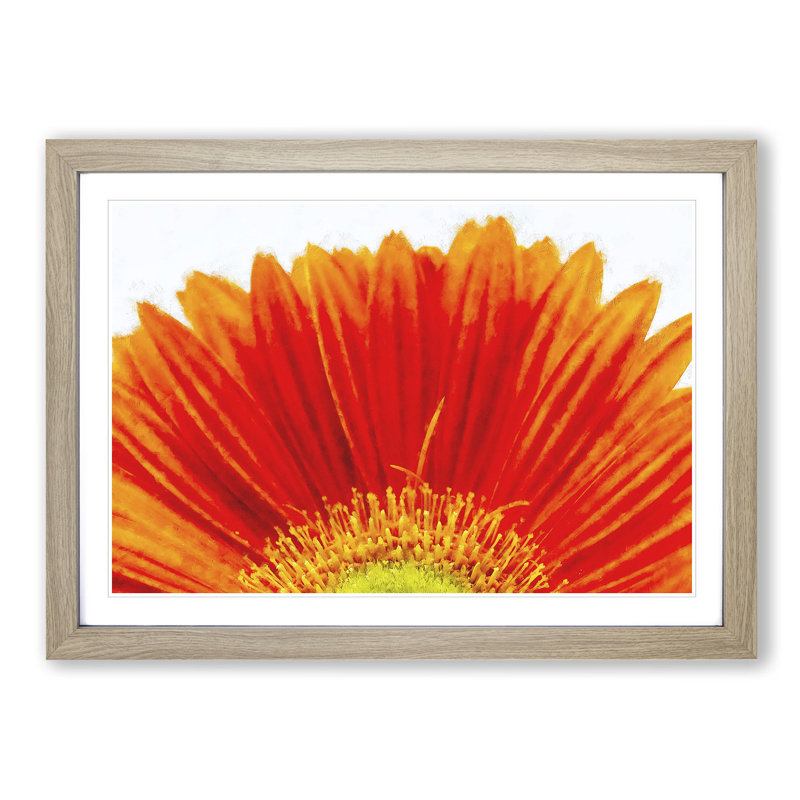 An Orange Gerbera - Single Picture Frame Painting on MDF, Oak, 24cm H x 33cm W x 2cm D