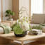 Organic Modern Arrangement with Orchids and Hydrangeas-988757373