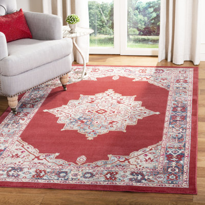 Doucet 300 Pes/Cotton/Pp/Latex Oriental Rug in Red/Aqua