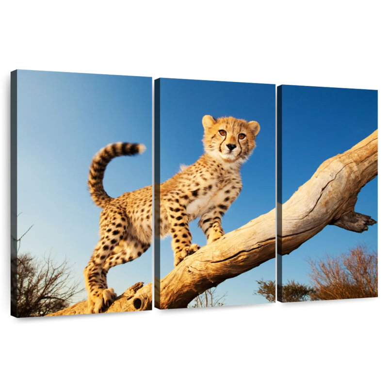 Brampt Cheetah Cub, 36" H x 57" W