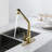 Fapully Pull Out Kitchen Faucet-69820498
