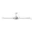 Ventilateur de plafond blanc Wodina-202509560-202509538
