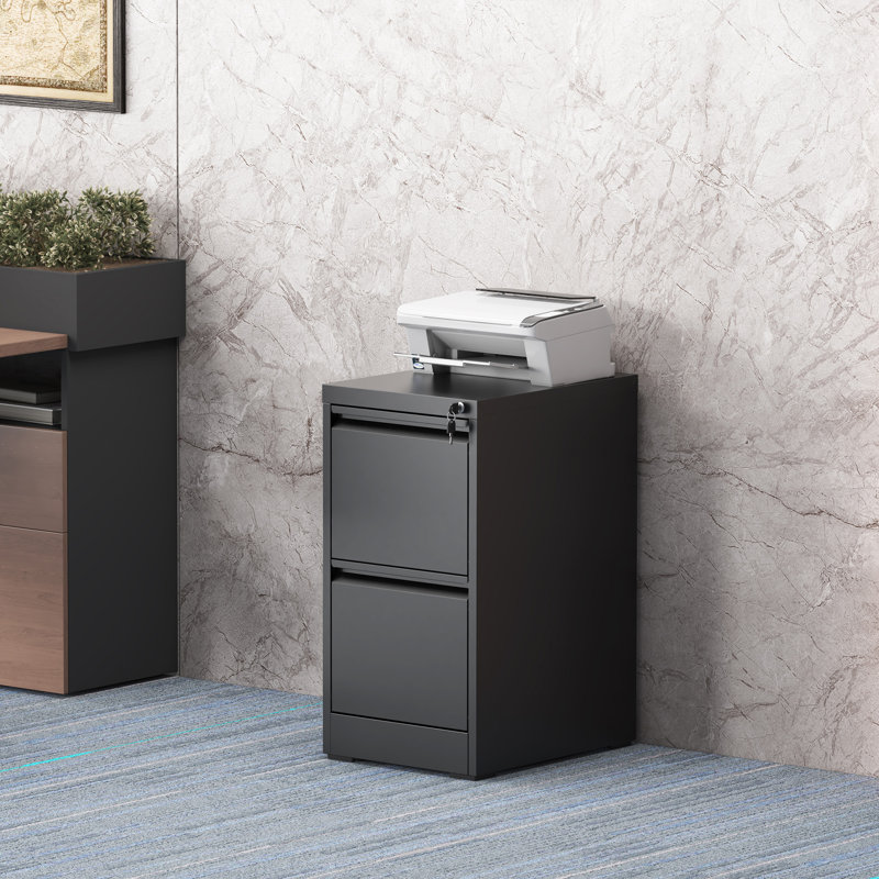 2 Drawers Metal Vertical File Cabinets with Lock-Durable for Home & Office., Black