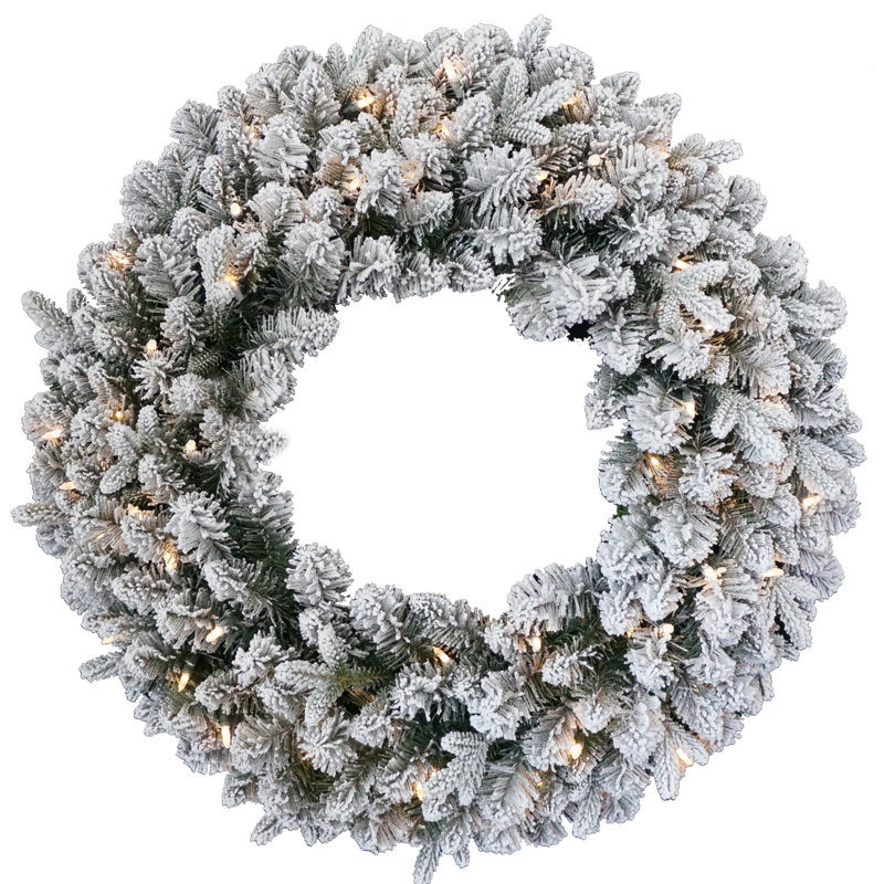 The Holiday Aisle® 24in. Iceland Fir Wreath with Battery Operated LED Lights