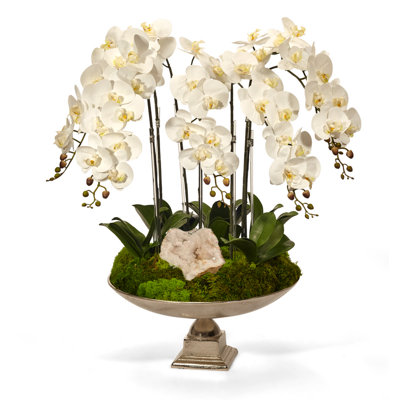 Orchid Orchids Arrangement in Urn