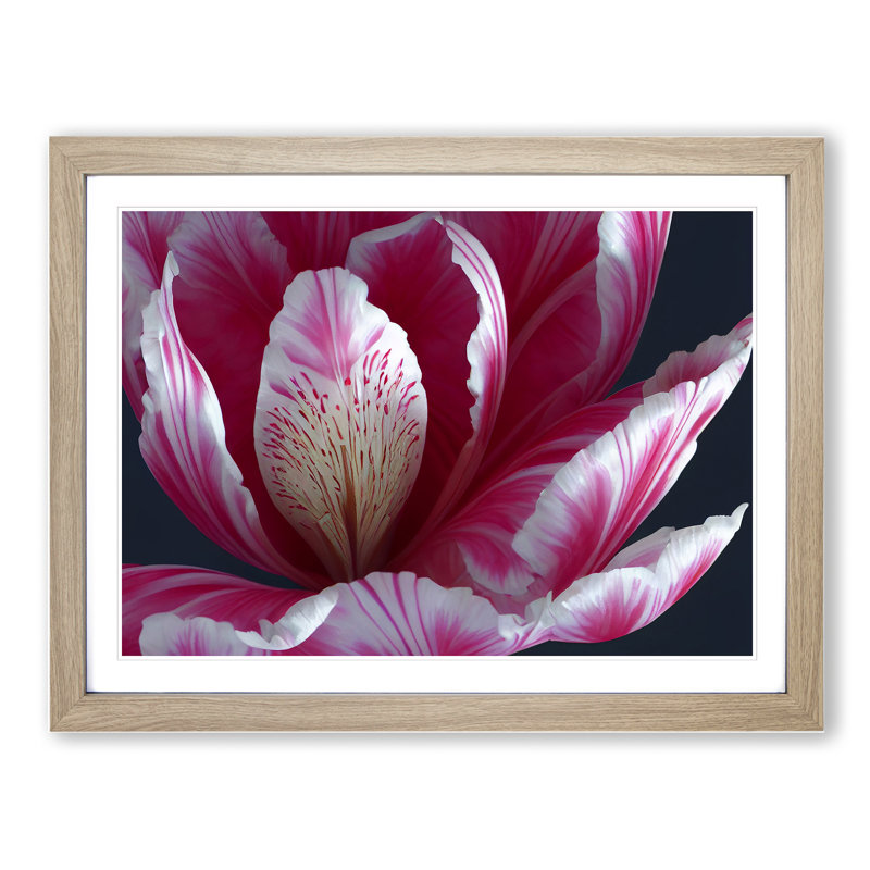Enlightening Flower - Single Picture Frame Print, 25cm H x 34cm W x 2cm D, Oak Framed
