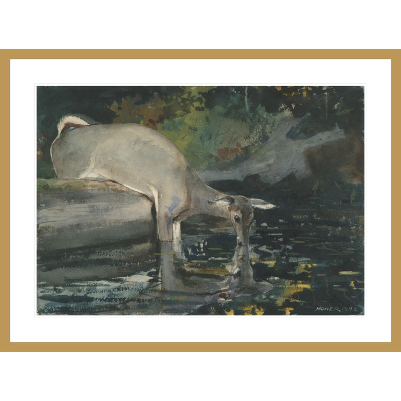 «Deer Dr potable» par Winslow Homer - impression giclée encadrée, H 31,29 po x l 41,5 po