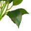 Anlin 20cm Faux Ficus Tree in Pot