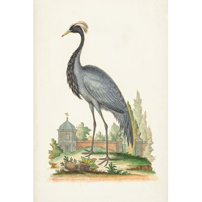 Antique Heron & Cranes II - Wrapped Canvas Painting