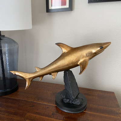 Requin doré sur roches