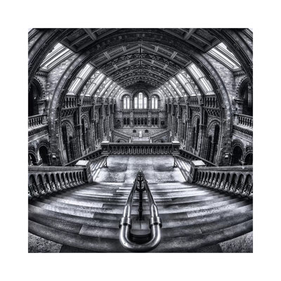 Harry Potter Meets Escher and Darwin by Massimo Cuomo - 1 Piece Wrapped Canvas Wall Art