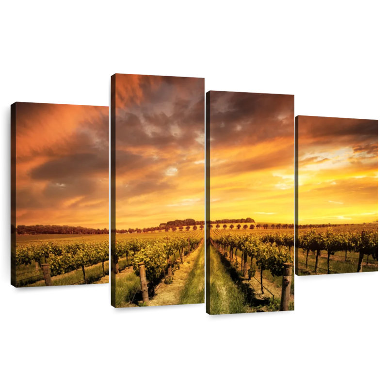 Alvord Barossa Valley Vineyard, H 27 po x l 43 po