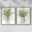 Delicate Greenery I-Premium Framed Print -Ready to Hang - No Nails Required - No Nails Required-107997778-107997783