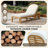 Outdoor Lounge Chair with 5-Position Adjustable Backrest for Poolside,Backyard,Deck and Lawn-125822846