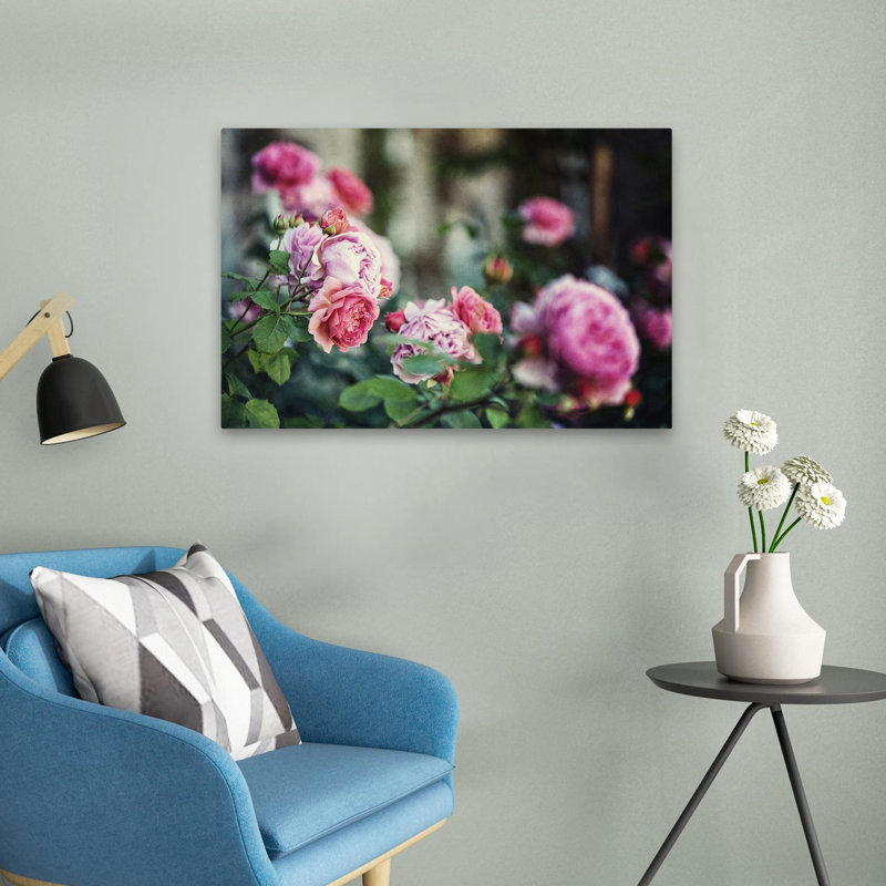 Plantes, fleurs, roses d'Ecosse II, art mural, H 16 po x l 24 po