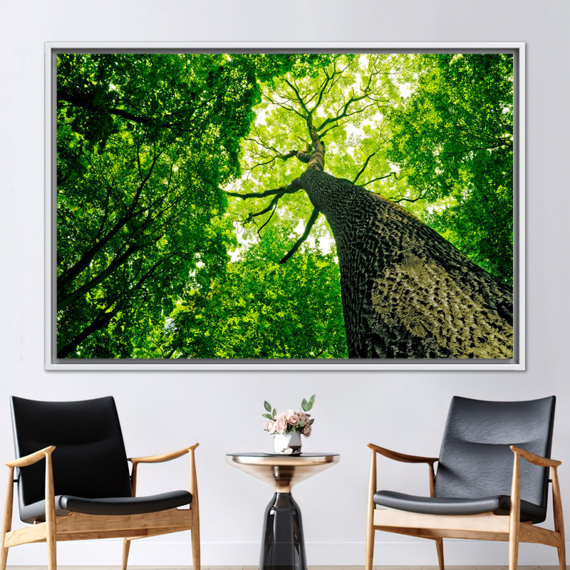 Print on Canvas, 25 cm H x 35 cm W, White, Framed Print without Mat