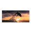 Dolphin Play Print-59012827-59014168