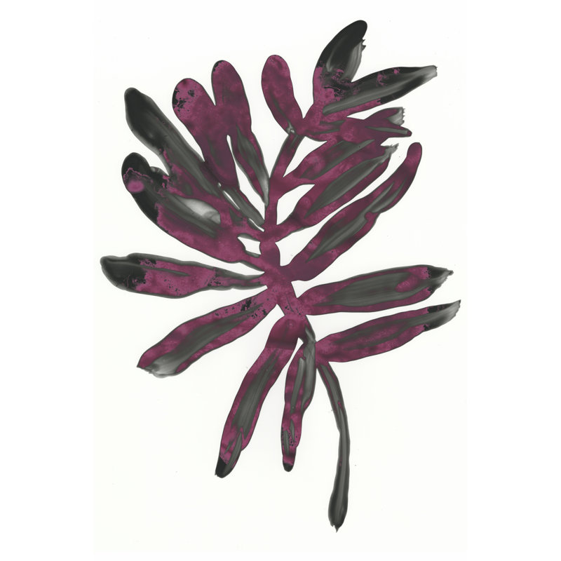 Foliage Fossil III by June Erica Vess - Wrapped Canvas Print, 46cm H x 30cm W