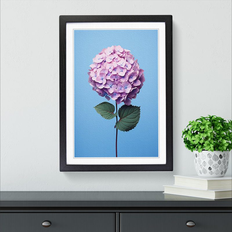 Hydrangea Minimalism No.2 - Framed Print, Black Framed, 34cm H x 25cm W x 2cm D