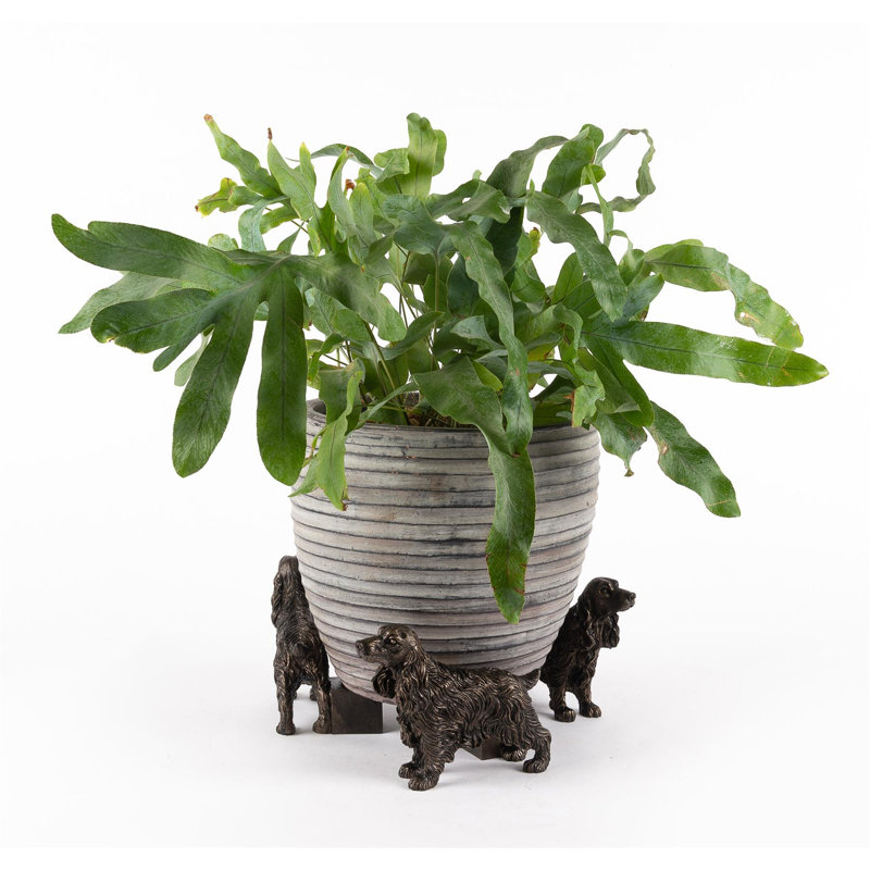 Kia Weather Resistant Planter Feet