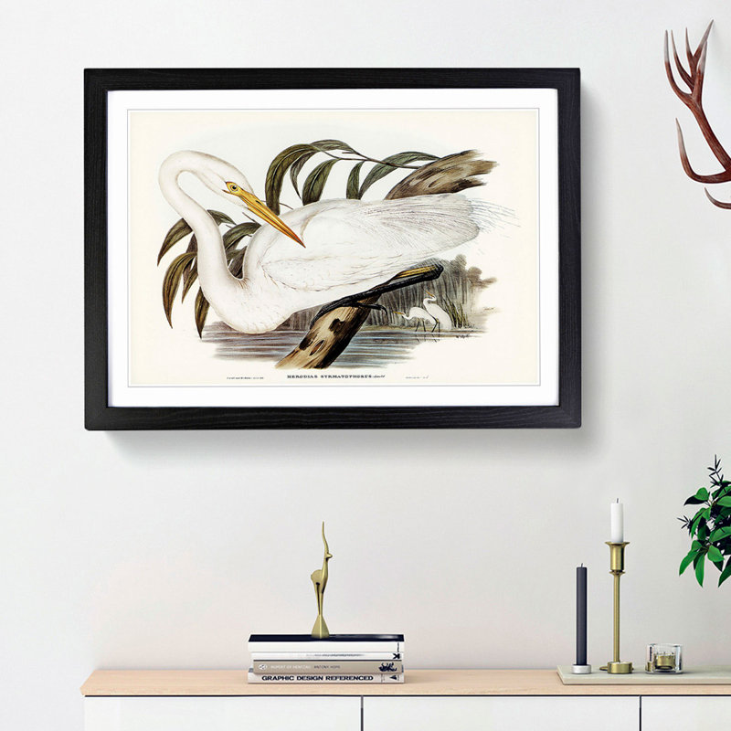 Australian Egret by Elizabeth Gould - Single Picture Frame Painting, 33cm H x 45cm W x 2cm D, Black Framed