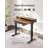 Emanuiel Height Adjustable Standing Gaming Desk-942113965