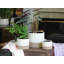 Pot de fleurs en céramique émaillée Jewel Mug (lot de 6) - Intérieur/Extérieur