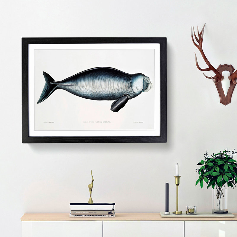 Indian Dugong by John Edward Gray - Picture Frame Painting Print, 36cm H x 48cm W x 2cm D, Black Framed