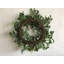 Large Lambs Ear Foliage 26" Greenery Wreath for Front Door