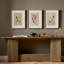 Blooms I Triptych By Brittney Shulz-1713779345