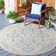 Danya Aqua/Cream Indoor/Outdoor Area Rug