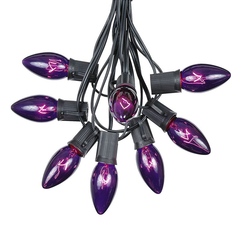 Fantaisie 25 pi pour l’extérieur 25 lumières Socorro, Noir, Mauve