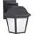 Secaucus LED Wall Light