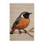  Tapis lavable Redstart-1601057521