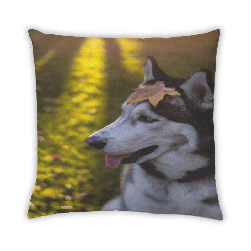 Coussin Dogs Dogs 23, Microsuède