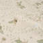 Tole Bird Wallpaper Roll-1823476026