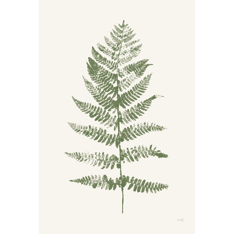 Fern Print II White Crop - Wrapped Canvas Painting, 46cm H x 30cm W