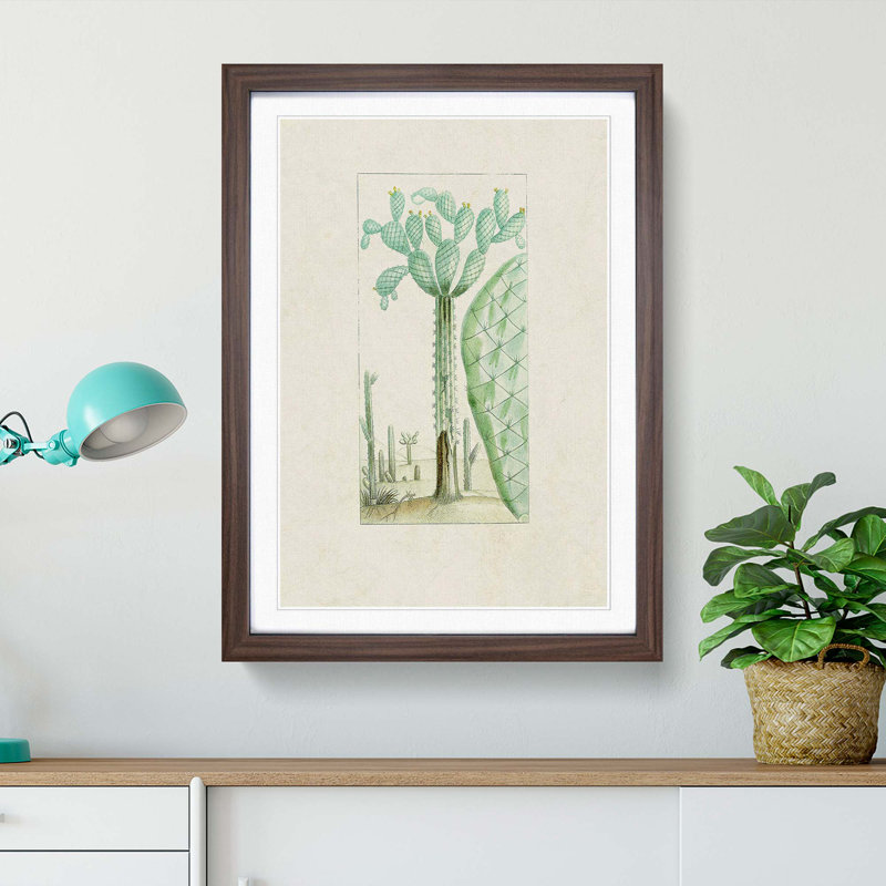 Cactus Illustration - Framed Print, 36cm H x 27cm W x 2cm D, Walnut Framed