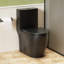 Toilette une pièce 1,1 / 1,60 GPF