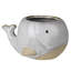 Cache pot Calynn Whale
